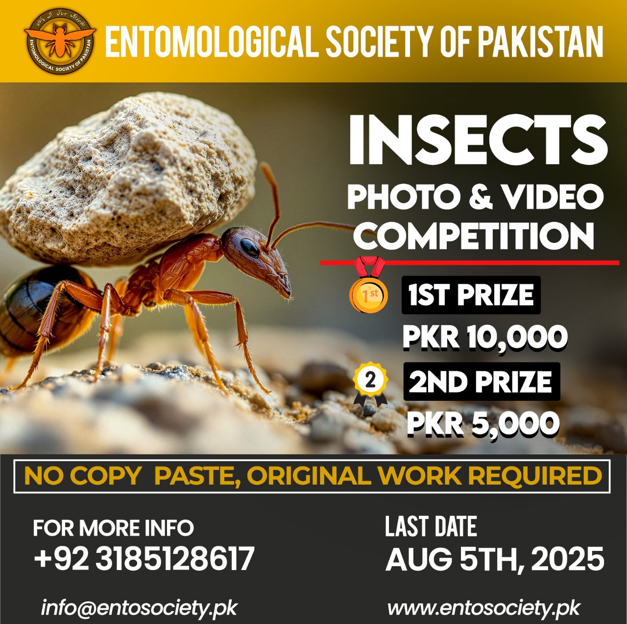 WhatsApp Image 2025-10-21 at 10.19.16 PM