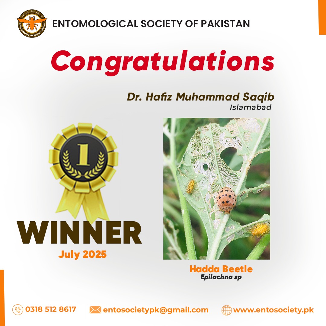 WhatsApp Image 2025-10-21 at 10.19.31 PM (1)