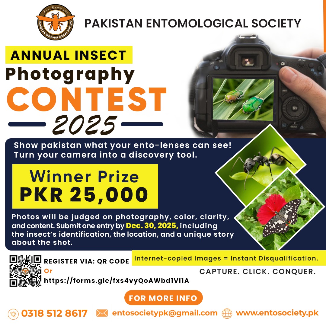 WhatsApp Image 2025-11-12 at 1.04.40 PM