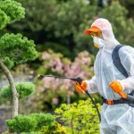 Role of Entomologists in Protecting Crops in Pakistan