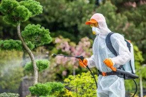 Role of Entomologists in Protecting Crops in Pakistan