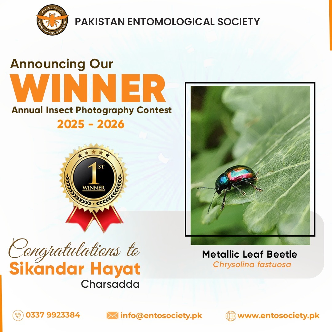 WhatsApp Image 2026-04-15 at 3.41.13 PM