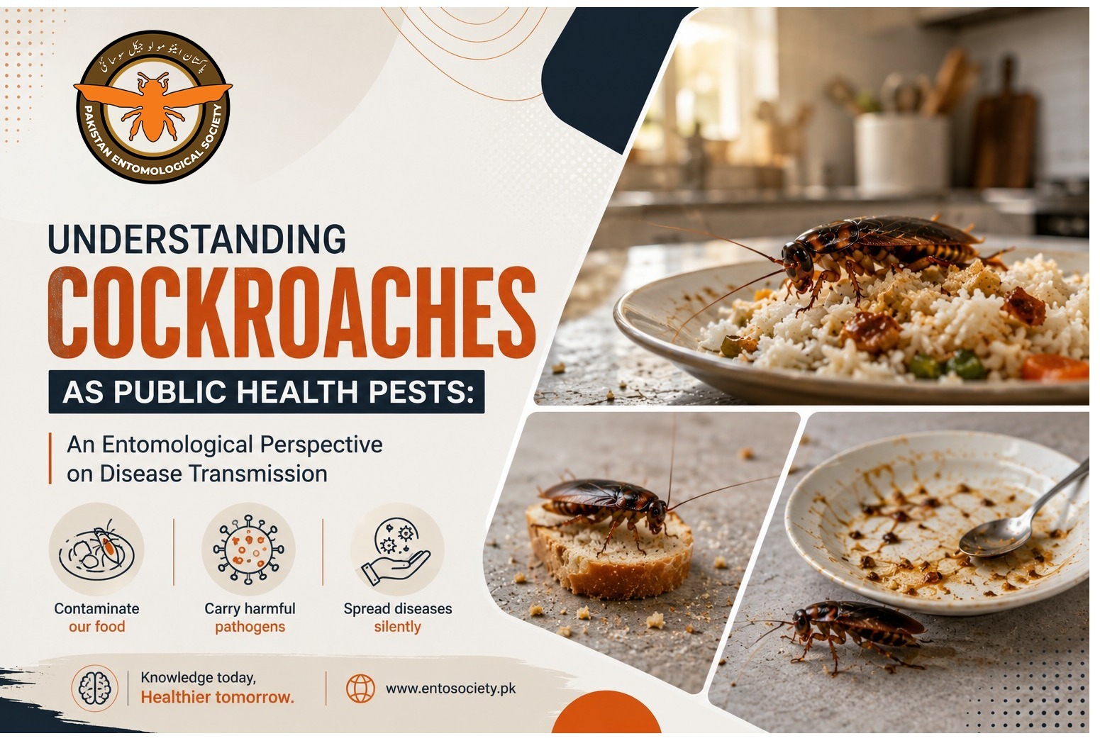 Diseases carried by cockroaches shown through food contamination, harmful pathogens, and public health risks.